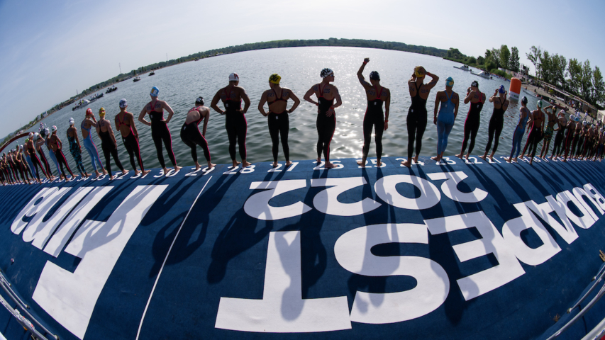 Water, swimming, World Aquatics, FINA, LEN