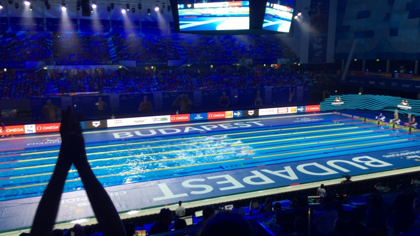 Water, swimming, World Aquatics, FINA, LEN